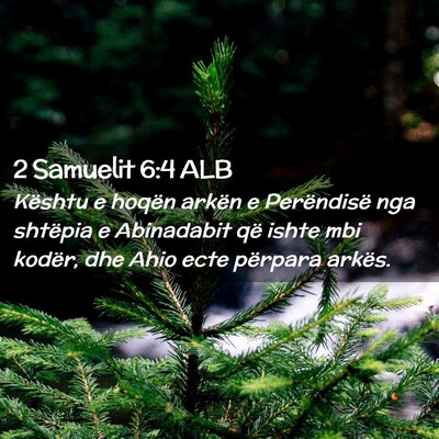Picture 02 - 2 Samuelit 6:4 ALB - Kështu e hoqën arkën e Perëndisë nga - Bible Verse Picture