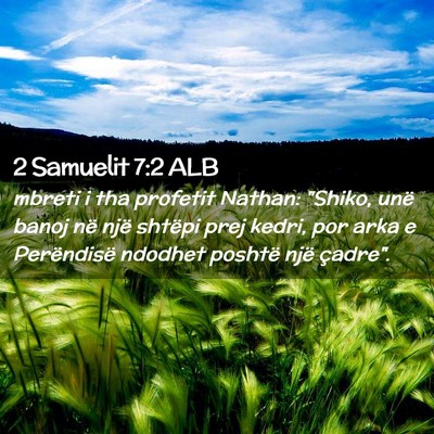 Picture 02 - 2 Samuelit 7:2 ALB - mbreti i tha profetit Nathan: 