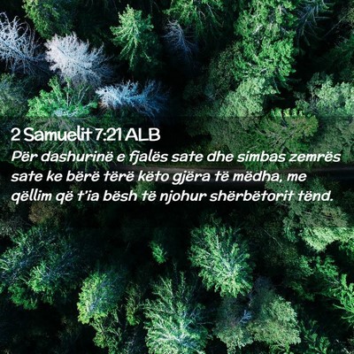 Picture 02 - 2 Samuelit 7:21 ALB - Për dashurinë e fjalës sate dhe simbas zemrës - Bible Verse Picture