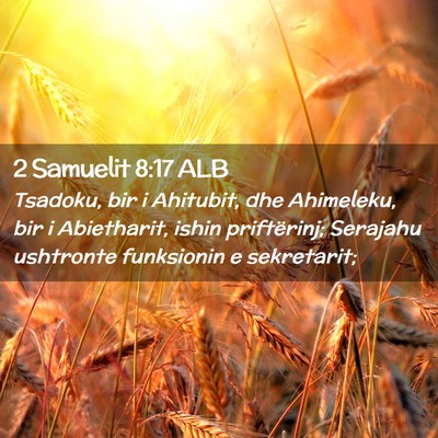 Picture 02 - 2 Samuelit 8:17 ALB - Tsadoku, bir i Ahitubit, dhe Ahimeleku, bir i - Bible Verse Picture