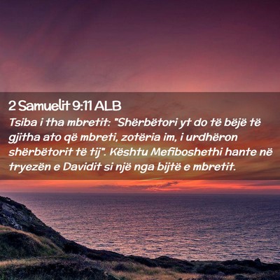 Picture 02 - 2 Samuelit 9:11 ALB - Tsiba i tha mbretit: 