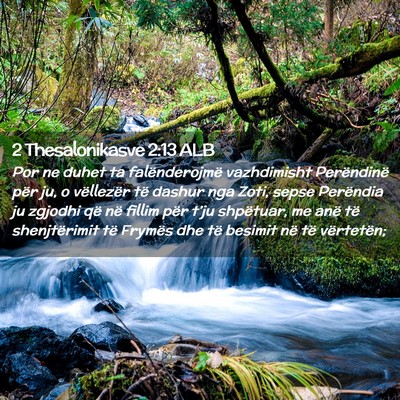 Picture 02 - 2 Thesalonikasve 2:13 ALB - Por ne duhet ta falënderojmë vazhdimisht - Bible Verse Picture