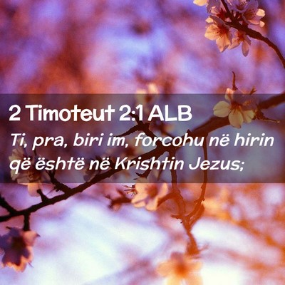 Picture 02 - 2 Timoteut 2:1 ALB - Ti, pra, biri im, forcohu në hirin që është - Bible Verse Picture