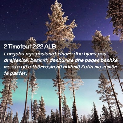 Picture 02 - 2 Timoteut 2:22 ALB - Largohu nga pasionet rinore dhe bjeru pas - Bible Verse Picture
