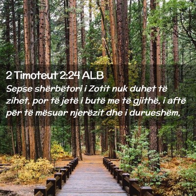 Picture 02 - 2 Timoteut 2:24 ALB - Sepse shërbëtori i Zotit nuk duhet të zihet, - Bible Verse Picture
