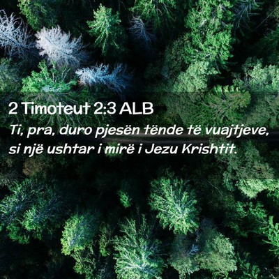 Picture 02 - 2 Timoteut 2:3 ALB - Ti, pra, duro pjesën tënde të vuajtjeve, si - Bible Verse Picture