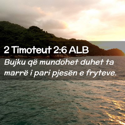 Picture 02 - 2 Timoteut 2:6 ALB - Bujku që mundohet duhet ta marrë i pari pjesën - Bible Verse Picture