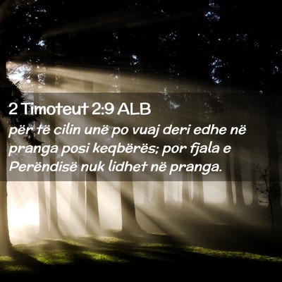 Picture 02 - 2 Timoteut 2:9 ALB - për të cilin unë po vuaj deri edhe në pranga - Bible Verse Picture
