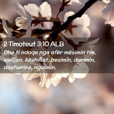 Picture 02 - 2 Timoteut 3:10 ALB - Dhe ti ndoqe nga afër mësimin tim, sjelljen, - Bible Verse Picture