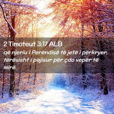 Picture 02 - 2 Timoteut 3:17 ALB - që njeriu i Perëndisë të jetë i përkryer, - Bible Verse Picture