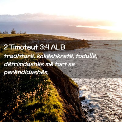 Picture 02 - 2 Timoteut 3:4 ALB - tradhtarë, kokëshkretë, fodullë, - Bible Verse Picture