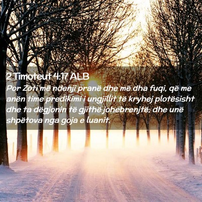 Picture 02 - 2 Timoteut 4:17 ALB - Por Zoti më ndenji pranë dhe më dha fuqi, që - Bible Verse Picture