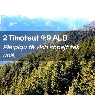 Picture 02 - 2 Timoteut 4:9 ALB - Përpiqu të vish shpejt tek - Bible Verse Picture