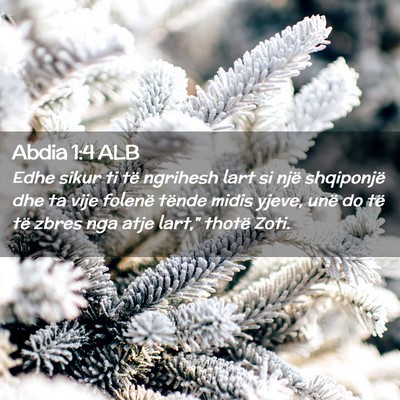 Picture 02 - Abdia 1:4 ALB - Edhe sikur ti të ngrihesh lart si një - Bible Verse Picture