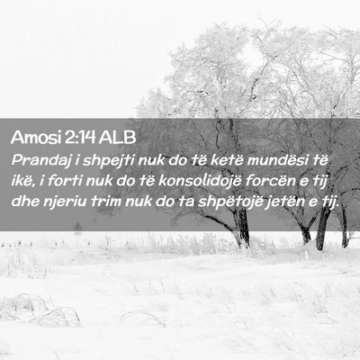 Picture 02 - Amosi 2:14 ALB - Prandaj i shpejti nuk do të ketë mundësi të - Bible Verse Picture