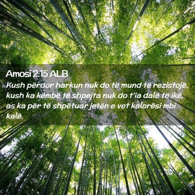 Picture 02 - Amosi 2:15 ALB - Kush përdor harkun nuk do të mund të - Bible Verse Picture