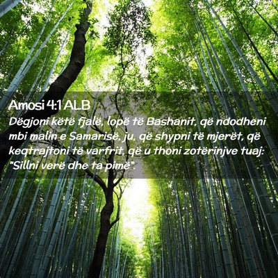 Picture 02 - Amosi 4:1 ALB - Dëgjoni këtë fjalë, lopë të Bashanit, që - Bible Verse Picture