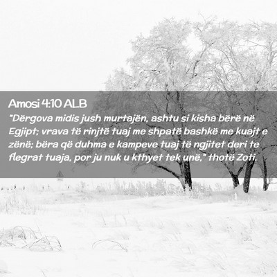 Picture 02 - Amosi 4:10 ALB - 