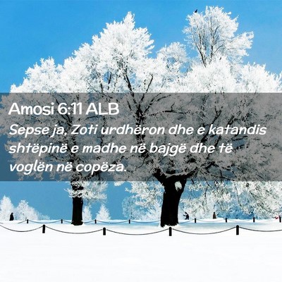 Picture 02 - Amosi 6:11 ALB - Sepse ja, Zoti urdhëron dhe e katandis - Bible Verse Picture