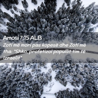 Picture 02 - Amosi 7:15 ALB - Zoti më mori pas kopesë dhe Zoti më tha: - Bible Verse Picture