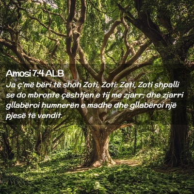 Picture 02 - Amosi 7:4 ALB - Ja ç’më bëri të shoh Zoti, Zoti: Zoti, Zoti - Bible Verse Picture