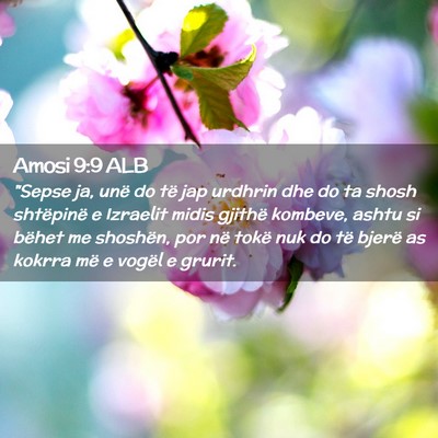 Picture 02 - Amosi 9:9 ALB - 