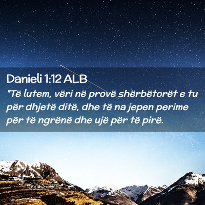 Picture 02 - Danieli 1:12 ALB - 