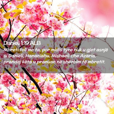 Picture 02 - Danieli 1:19 ALB - Mbreti foli me ta, por midis tyre nuk u gjet - Bible Verse Picture