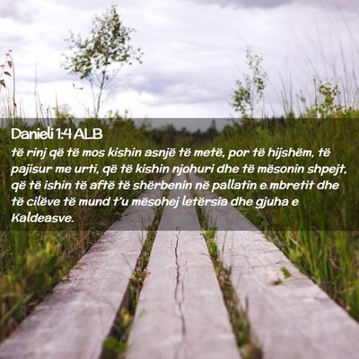 Picture 02 - Danieli 1:4 ALB - të rinj që të mos kishin asnjë të metë, por - Bible Verse Picture