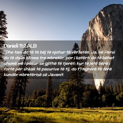 Picture 02 - Danieli 11:2 ALB - 