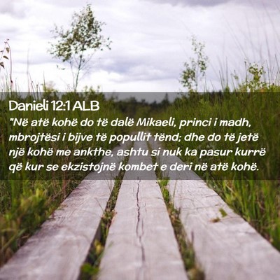 Picture 02 - Danieli 12:1 ALB - 