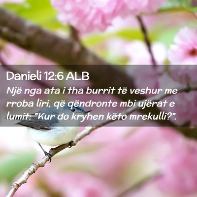 Picture 02 - Danieli 12:6 ALB - Një nga ata i tha burrit të veshur me rroba - Bible Verse Picture