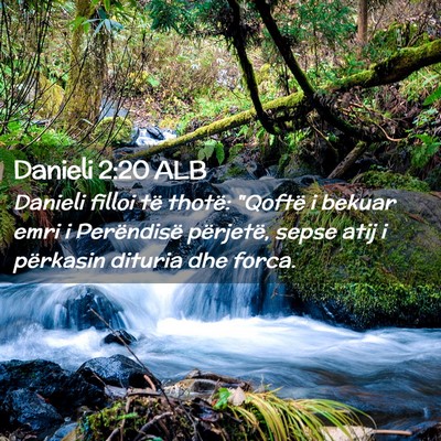 Picture 02 - Danieli 2:20 ALB - Danieli filloi të thotë: 