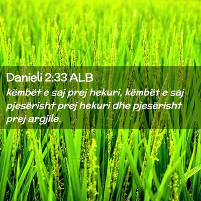 Picture 02 - Danieli 2:33 ALB - këmbët e saj prej hekuri, këmbët e saj - Bible Verse Picture