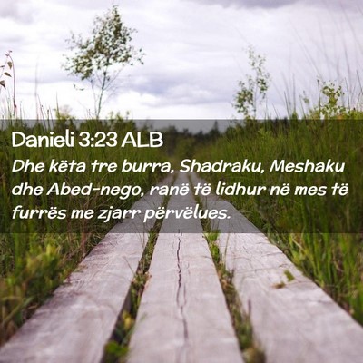 Picture 02 - Danieli 3:23 ALB - Dhe këta tre burra, Shadraku, Meshaku dhe - Bible Verse Picture