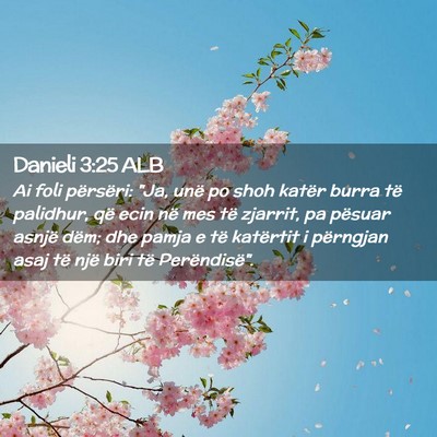 Picture 02 - Danieli 3:25 ALB - Ai foli përsëri: 