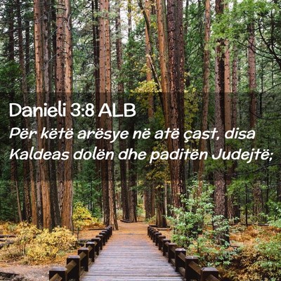 Picture 02 - Danieli 3:8 ALB - Për këtë arësye në atë çast, disa Kaldeas - Bible Verse Picture