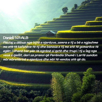Picture 02 - Danieli 5:21 ALB - Pastaj u dëbua nga bijtë e njerëzve, zemra e - Bible Verse Picture