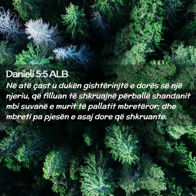 Picture 02 - Danieli 5:5 ALB - Në atë çast u dukën gishtërinjtë e dorës - Bible Verse Picture