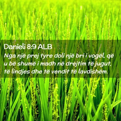 Picture 02 - Danieli 8:9 ALB - Nga një prej tyre doli një bri i vogël, që u - Bible Verse Picture