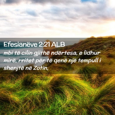 Picture 02 - Efesianëve 2:21 ALB - mbi të cilin gjithë ndërtesa, e lidhur mirë, - Bible Verse Picture