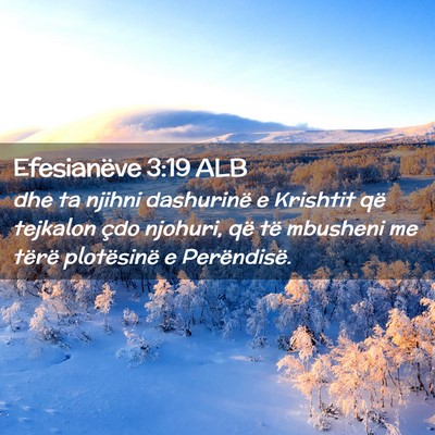 Picture 02 - Efesianëve 3:19 ALB - dhe ta njihni dashurinë e Krishtit që tejkalon - Bible Verse Picture