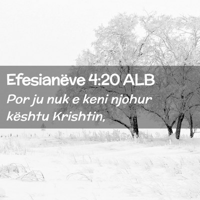Picture 02 - Efesianëve 4:20 ALB - Por ju nuk e keni njohur kështu - Bible Verse Picture