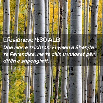 Picture 02 - Efesianëve 4:30 ALB - Dhe mos e trishtoni Frymën e Shenjtë të - Bible Verse Picture