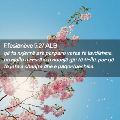 Picture 02 - Efesianëve 5:27 ALB - që ta nxjerrë atë përpara vetes të - Bible Verse Picture
