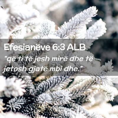 Picture 02 - Efesianëve 6:3 ALB - “që ti të jesh mirë dhe të jetosh gjatë - Bible Verse Picture