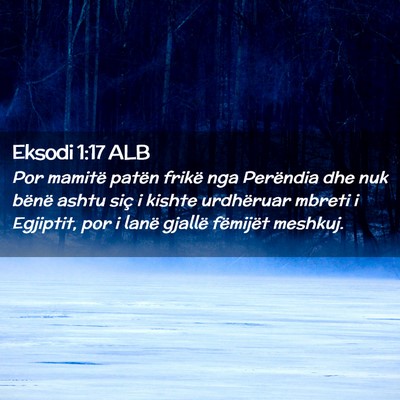 Picture 02 - Eksodi 1:17 ALB - Por mamitë patën frikë nga Perëndia dhe nuk - Bible Verse Picture