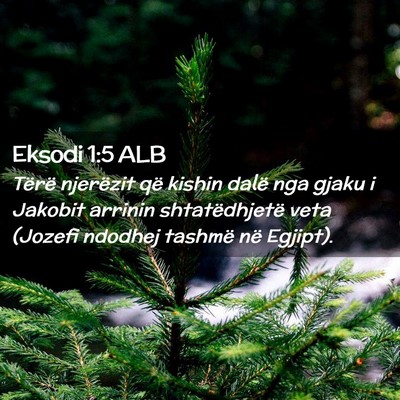 Picture 02 - Eksodi 1:5 ALB - Tërë njerëzit që kishin dalë nga gjaku i - Bible Verse Picture