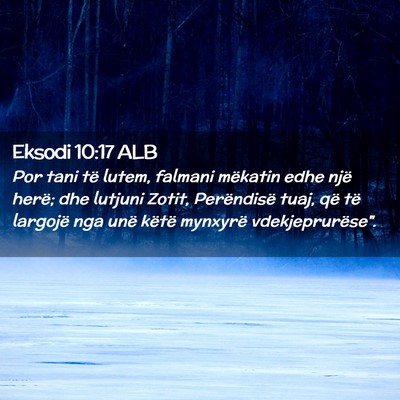 Picture 02 - Eksodi 10:17 ALB - Por tani të lutem, falmani mëkatin edhe një - Bible Verse Picture