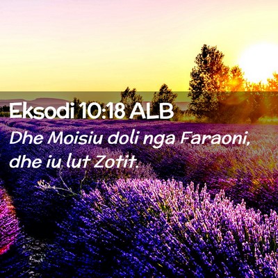 Picture 02 - Eksodi 10:18 ALB - Dhe Moisiu doli nga Faraoni, dhe iu lut - Bible Verse Picture